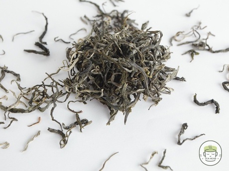 Yunnan Mao Feng Green Tea photo 31