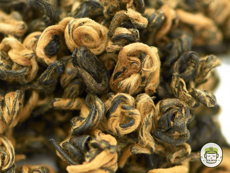 Dian Hong Bi Luo Red Tea from Fengqing, Yunnan, photo 1